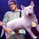 Illustration for article titled New Tumblr replaces musicians basses with dogs, because why not?